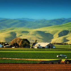 Salinas celery farm valley farmers agriculture field farmworkers general california worker overtime latin american war china workers phases pay law