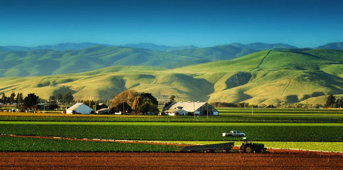 Salinas celery farm valley farmers agriculture field farmworkers general california worker overtime latin american war china workers phases pay law